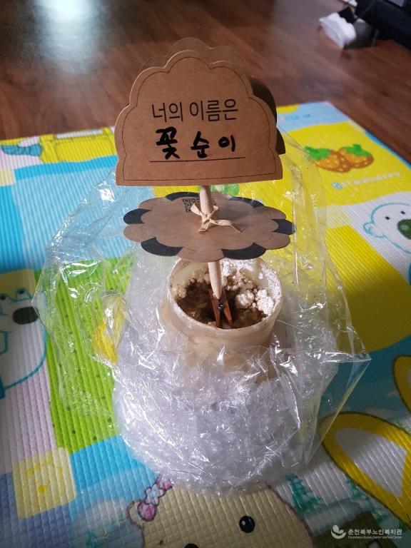 활동사진2.jpg