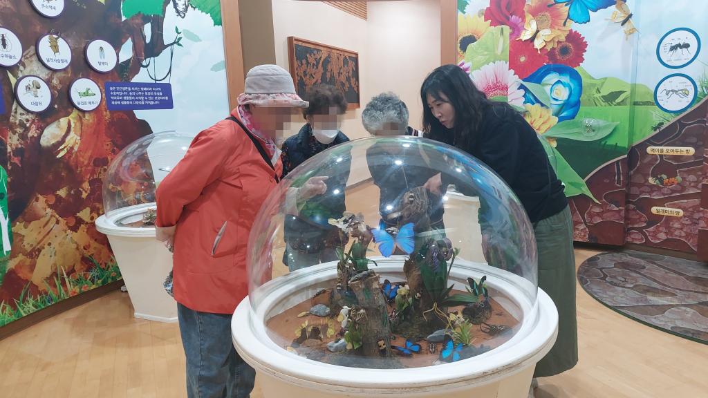 20241008_곤충표본 관람.jpg