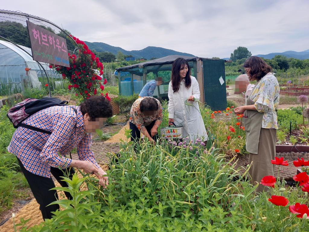 20240530_C집단 마늘쫑뽑기.jpg