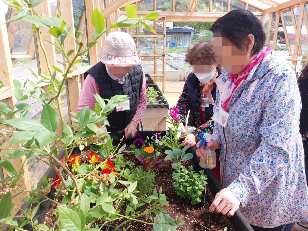 20240423_식물에 영양제 주기.jpg