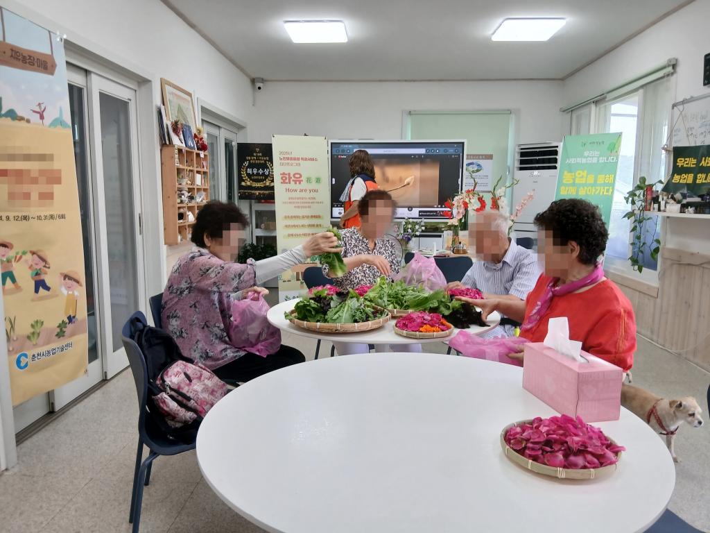 20250619_채소.jpg