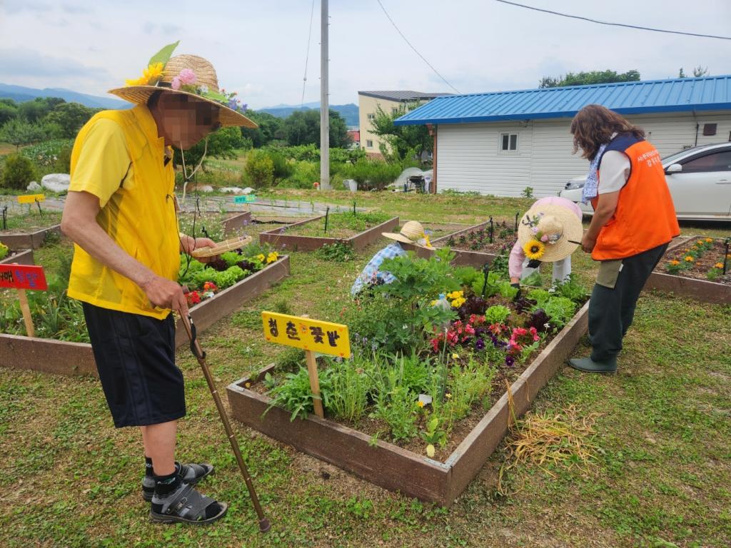 20250610_채소수확.jpg