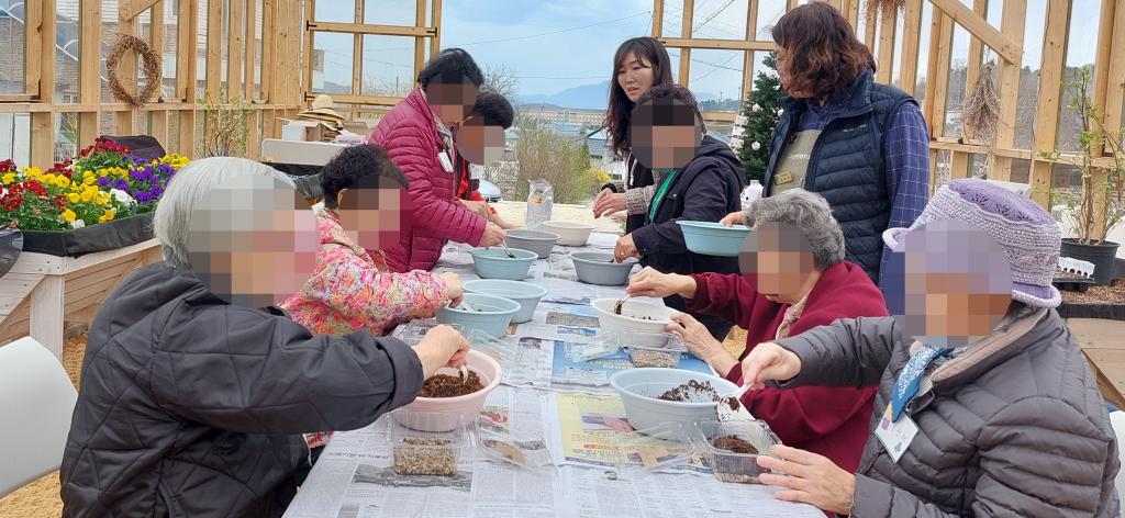 20240403_A집단 활동 새싹 채소 심기.jpg