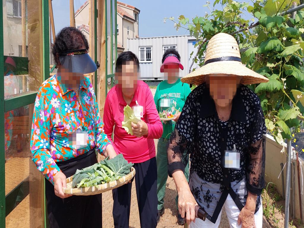 20240522_수확한 허브 꽃 채소 가지고 샐러드 만들러 가자_.jpg