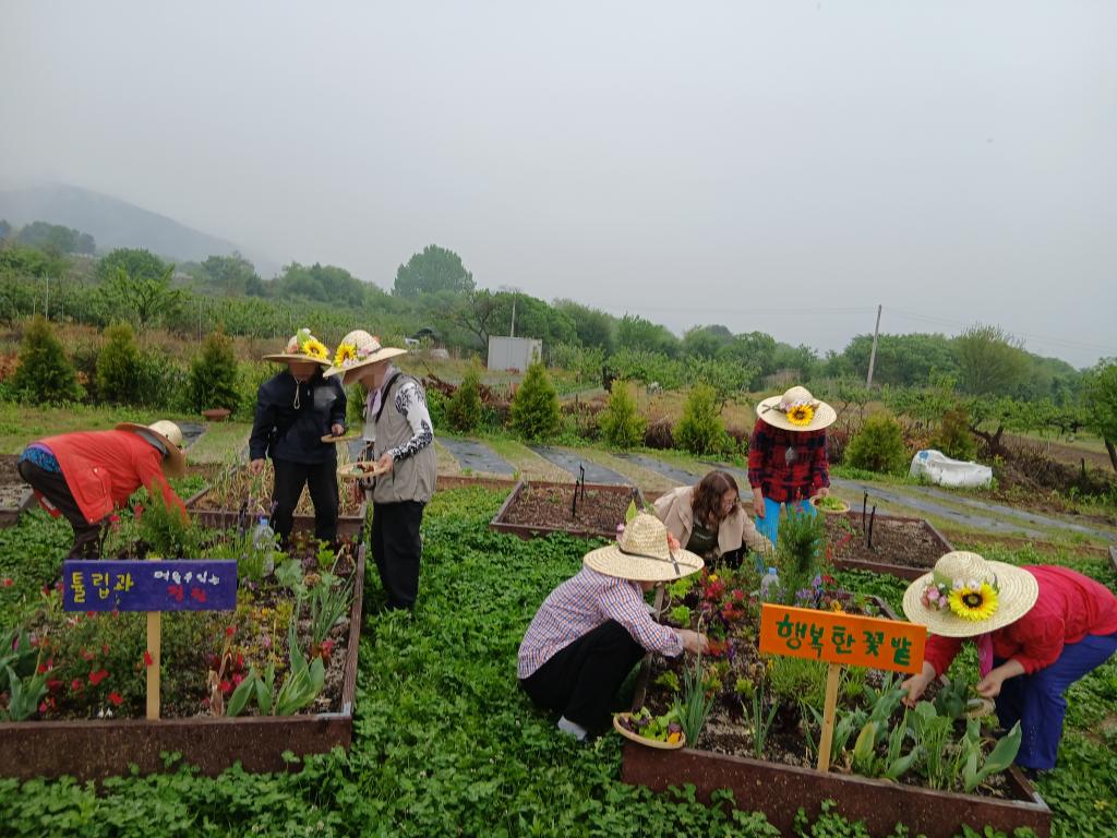 20250515_솎아주기.jpg