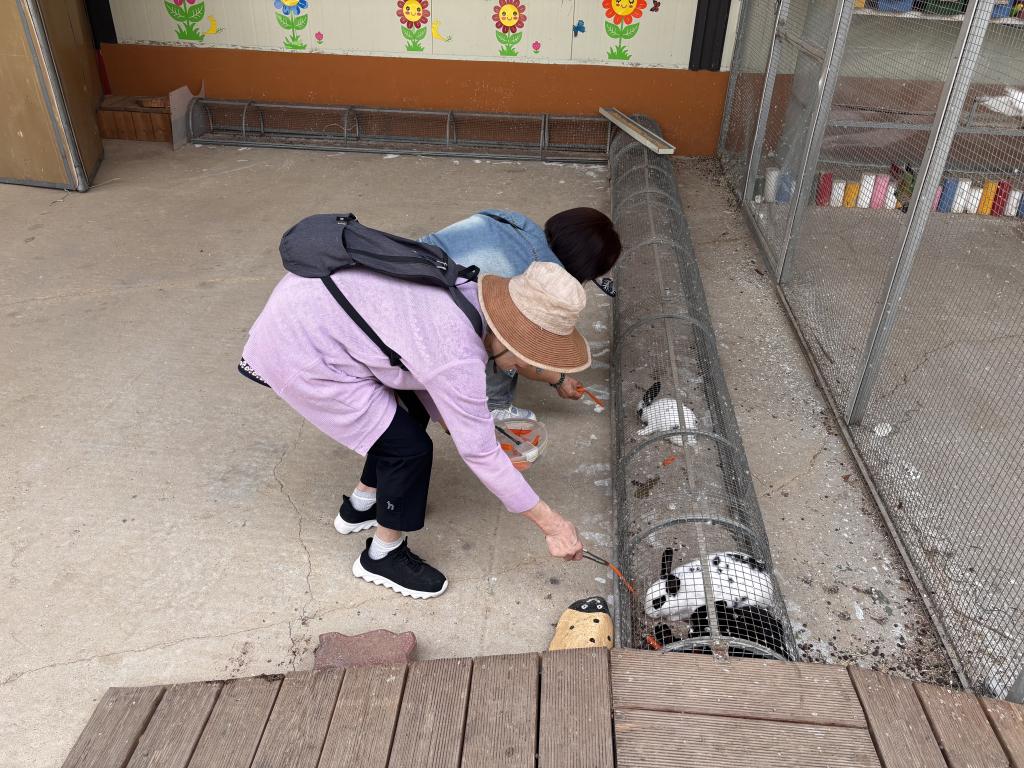 동물먹이주기1.jpg