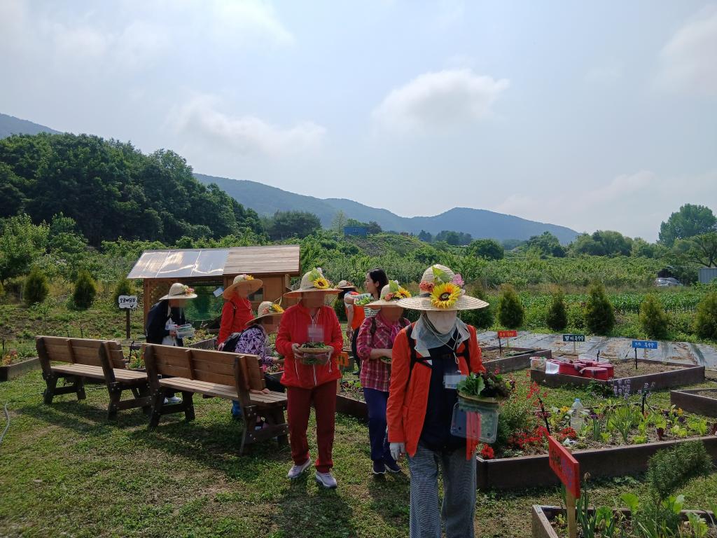 20250529_수확.jpg