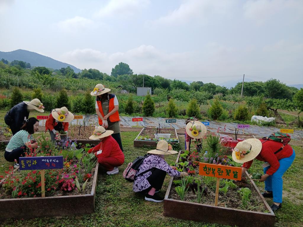 20250529_로즈마리와 채소 수확.jpg