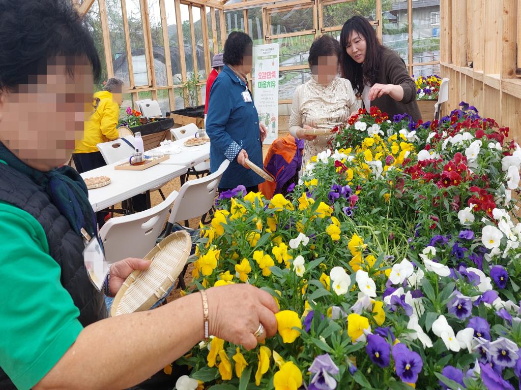 20240424_A집단 꽃잎 따기.jpg