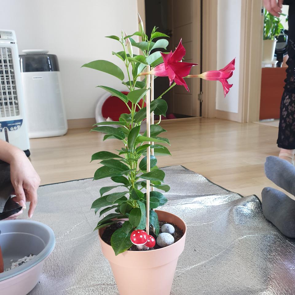 KakaoTalk_20210722_171931925_04.jpg