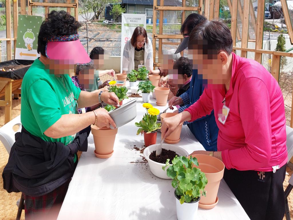 20240417_A집단 화분에 모종 심기.jpg
