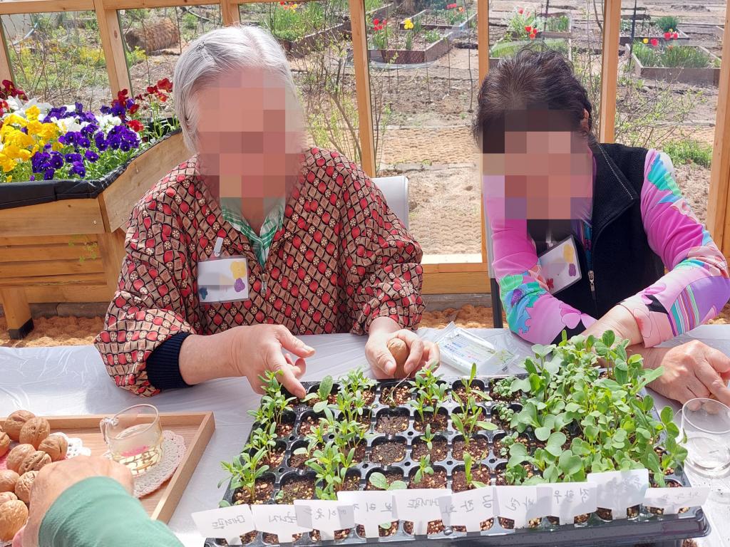 20240417_A집단 3회기모종 관찰.jpg
