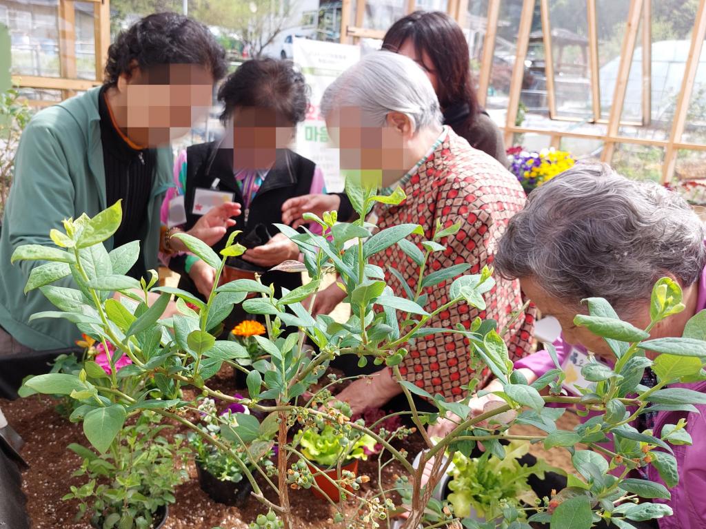 20240417_A집단 4회기모종 심기.jpg