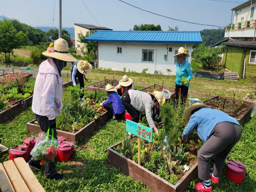 20250527_허브 수확.jpg