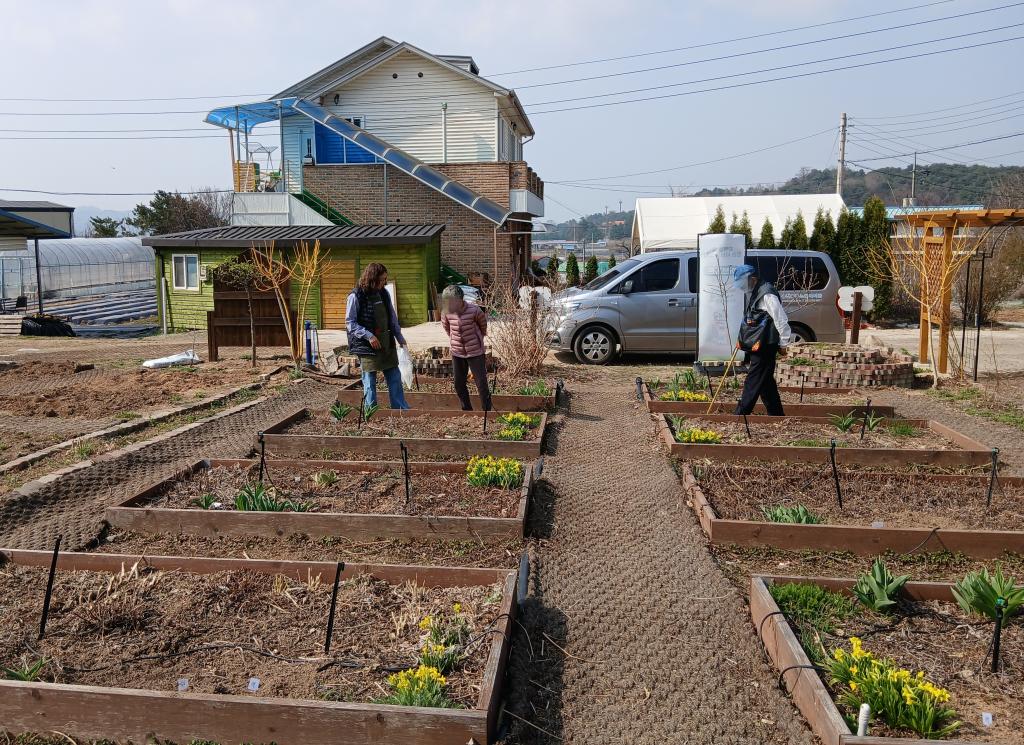 20250408_수선화 꽃밭 산책.jpg