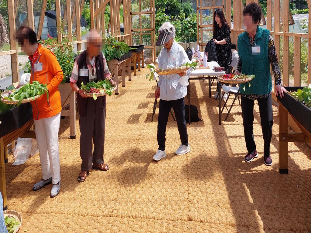 20240523_C집단 수확한 허브,꽃,채소로 샐러드 만들러 갑시다 _.jpg