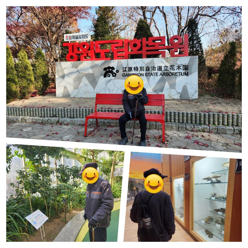 콜라주_2.png.jpg