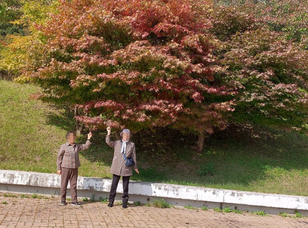 20241016_단풍놀이.jpg