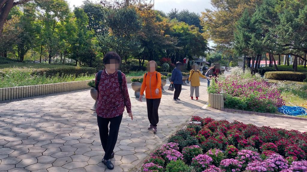 20241010_가을꽃 구경.jpg