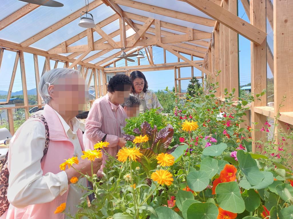 20240529_A집단 캣잎,애플민트, 세이지,페파민트 채취.jpg