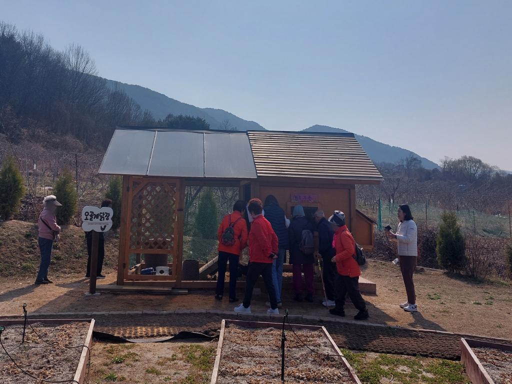 20250403_오골계닭장 구경.jpg
