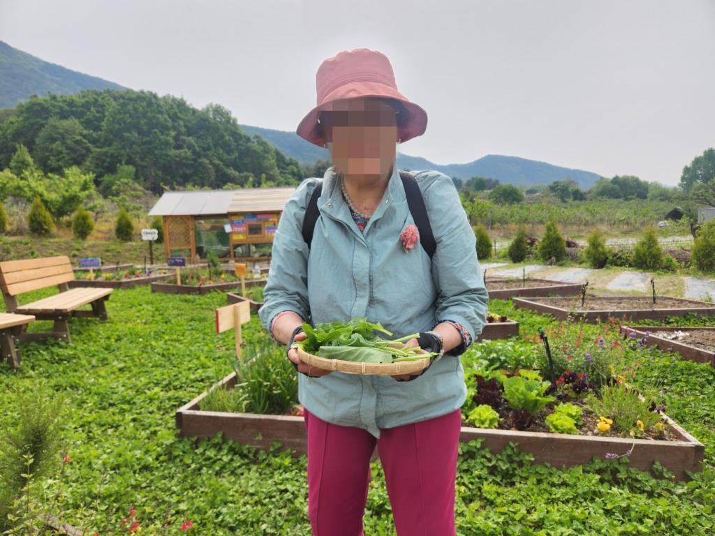 20250513_채소.jpg