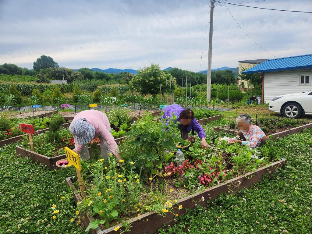 20250624_수확.jpg