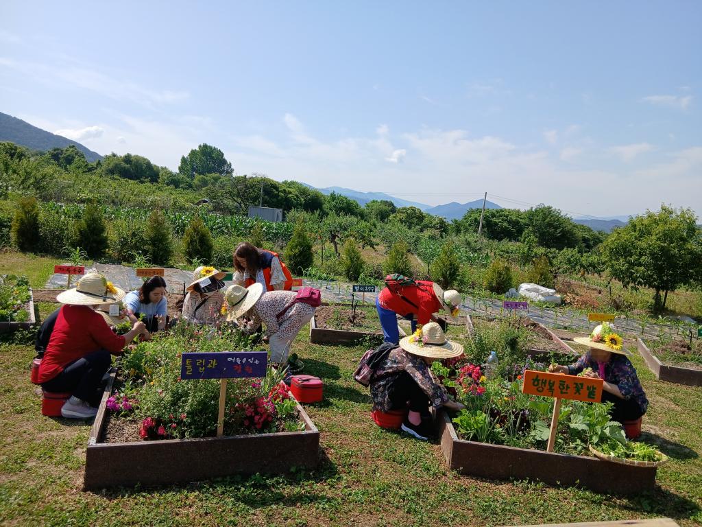 20250612_채소수확.jpg