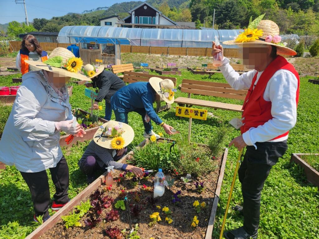 20250429_식물영양제 주기.jpg