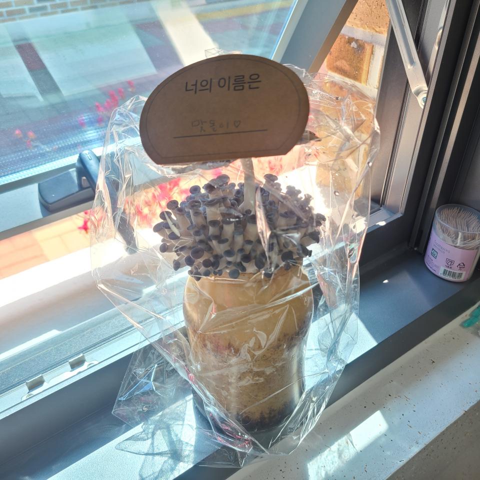 KakaoTalk_20210419_113249832.jpg