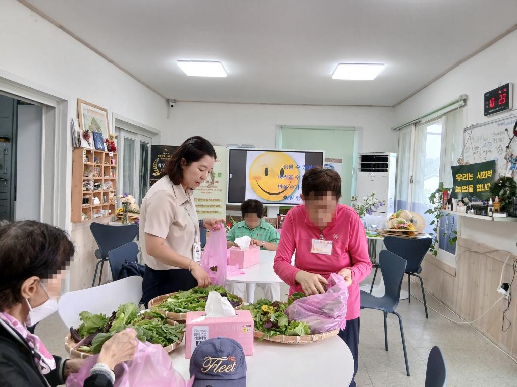 20250618_채소.jpg