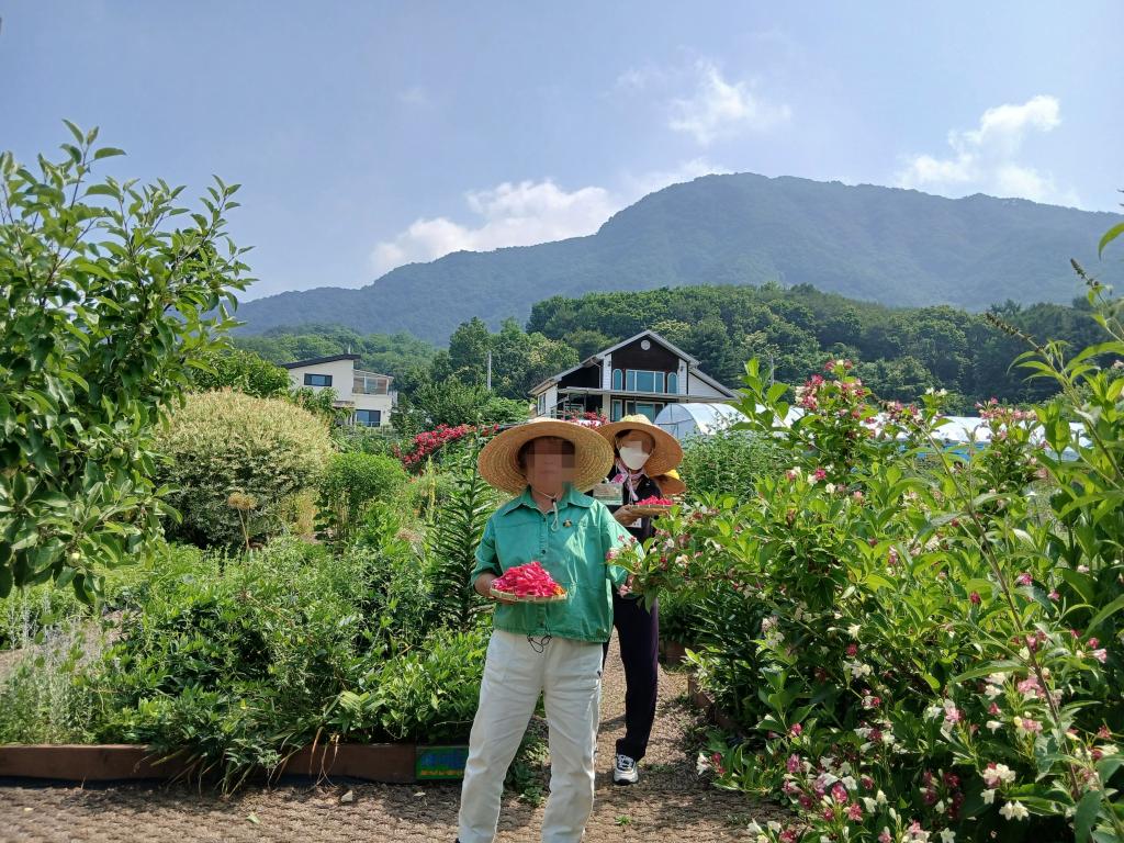 20250618_꽃잎채취.jpg