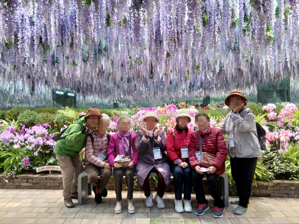 20251028_등나무.jpg