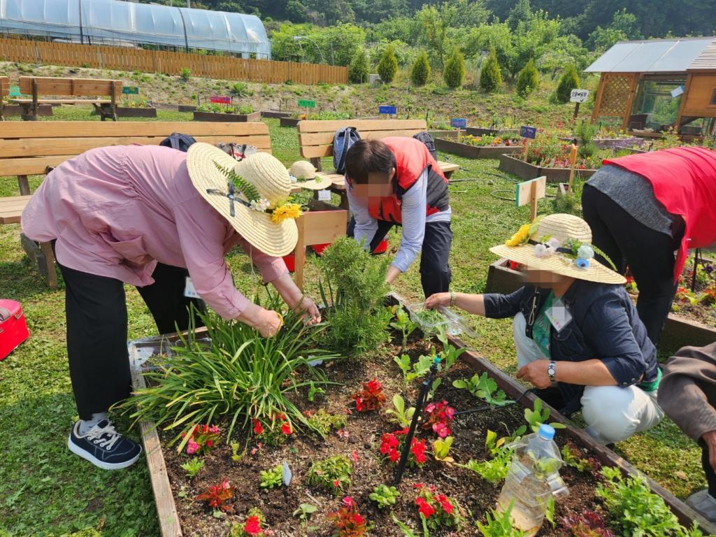 20250528_로즈마리 및 채소 수확하기.jpg