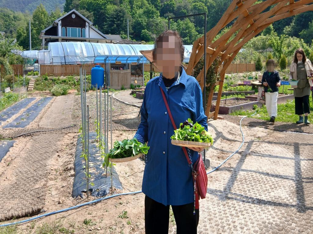 20250514_잎채소 수확.jpg