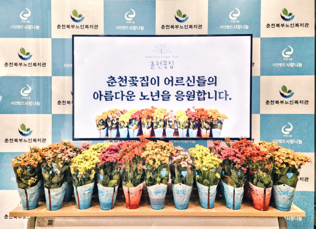 춘천꽃집.jpg